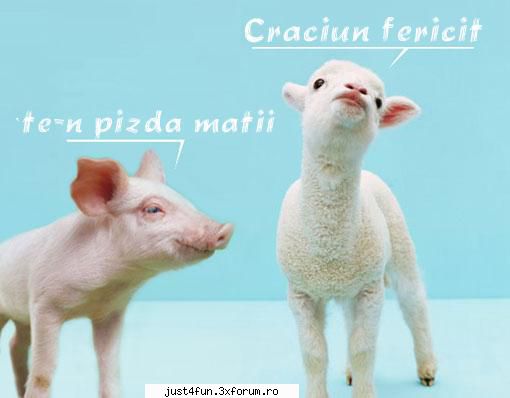 lol :))) craciun fericit!!! =)))